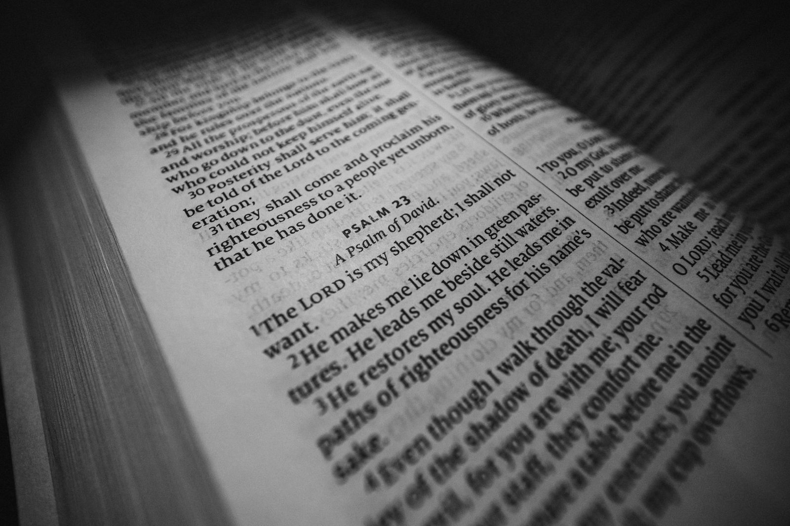 Close-up of an open Bible page