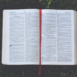 Sacred Endurance: What the Bible Teaches About the Virtue of Patience