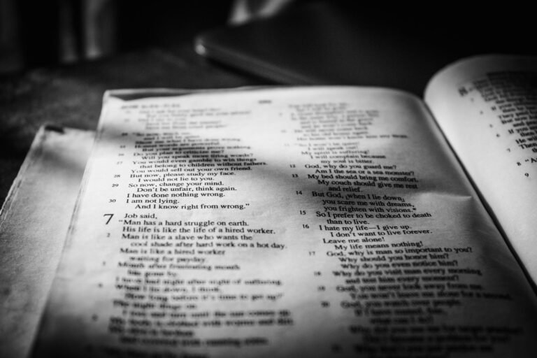 Why Did God Allow Job to Suffer?