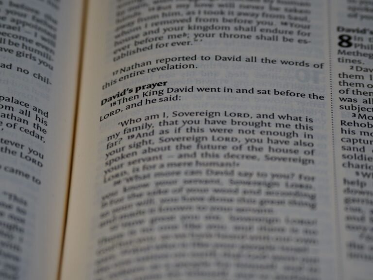 Does the Bible Have One Unified Story?