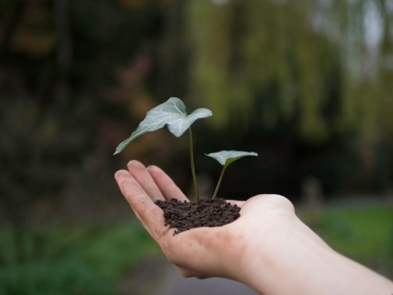 How Can I Grow Closer to God?