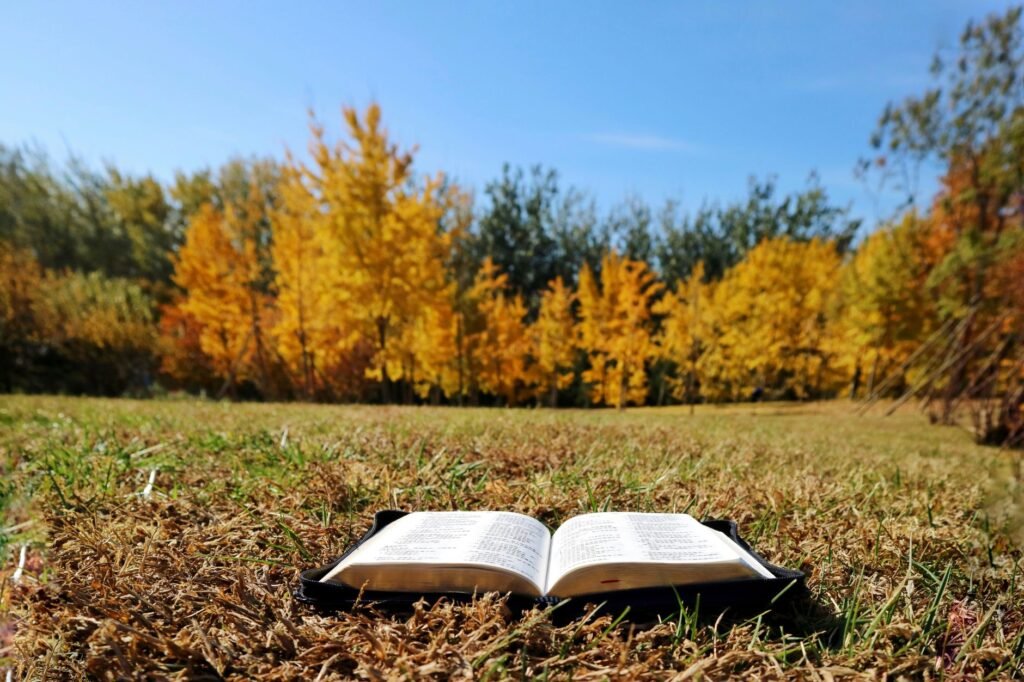 How Should We Respond When a Prominent Christian Falls?