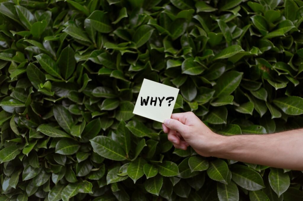 Why Does God Sometimes Seem Silent?
