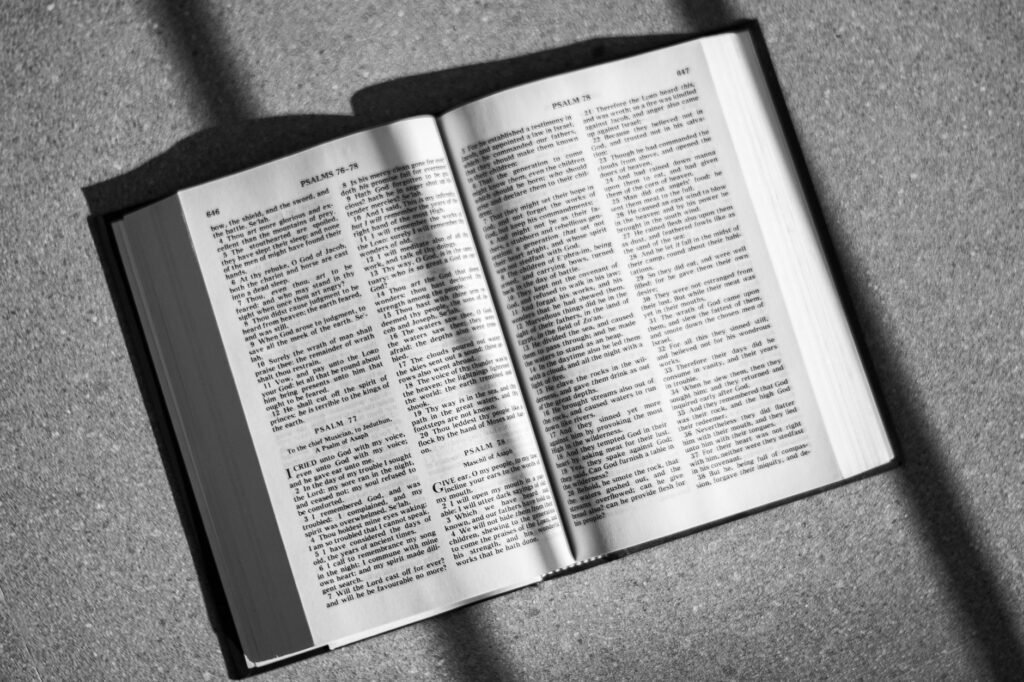 A beautiful open Bible resting in sunlight, symbolizing the illumination that Scripture brings to courage