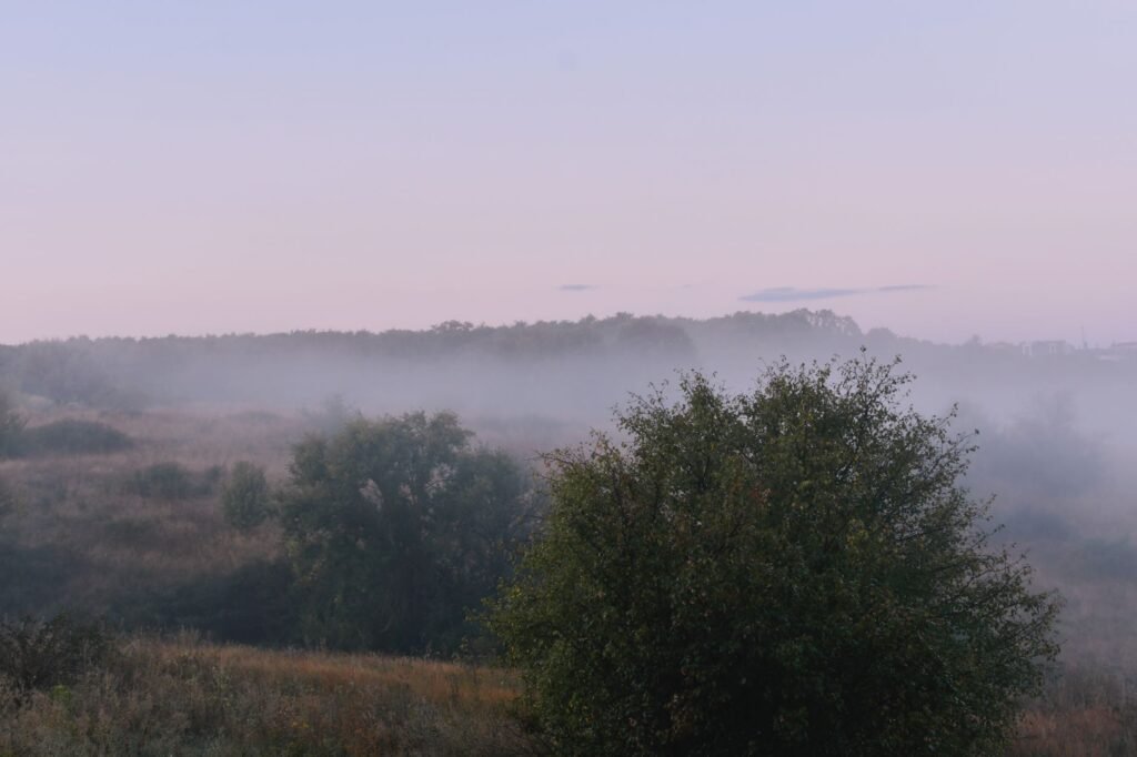 A serene landscape symbolizes the hope found in God's promises amid life's uncertainties
