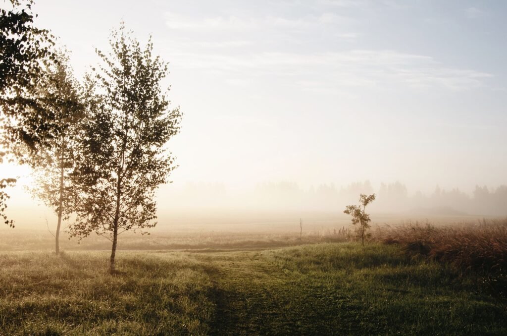 A serene natural landscape illustrates the tranquility that can come from spending time in God's creation