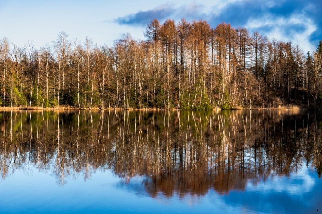 A serene nature scene reflecting peace, representing the calm that comes from trusting God in challenging times