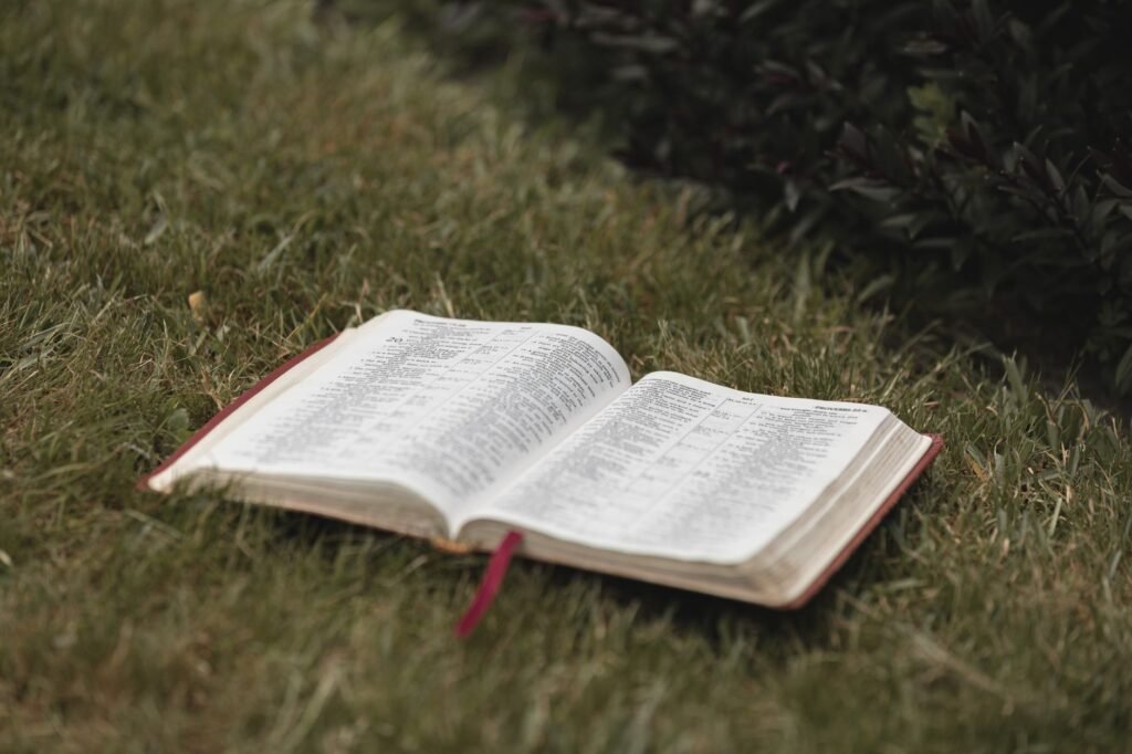 A serene open Bible in a natural setting encourages reflection on God's word