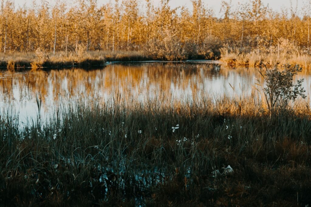 A serene view of nature can remind us of the peace God provides in stressful times