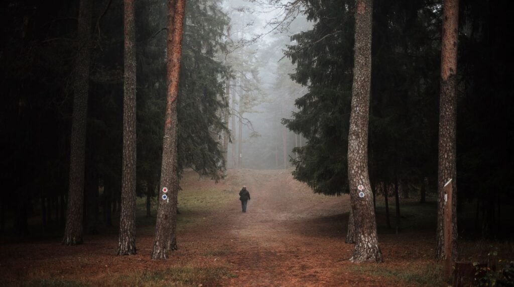 A solitary path through a peaceful forest, representing the journey of faith in times of loneliness