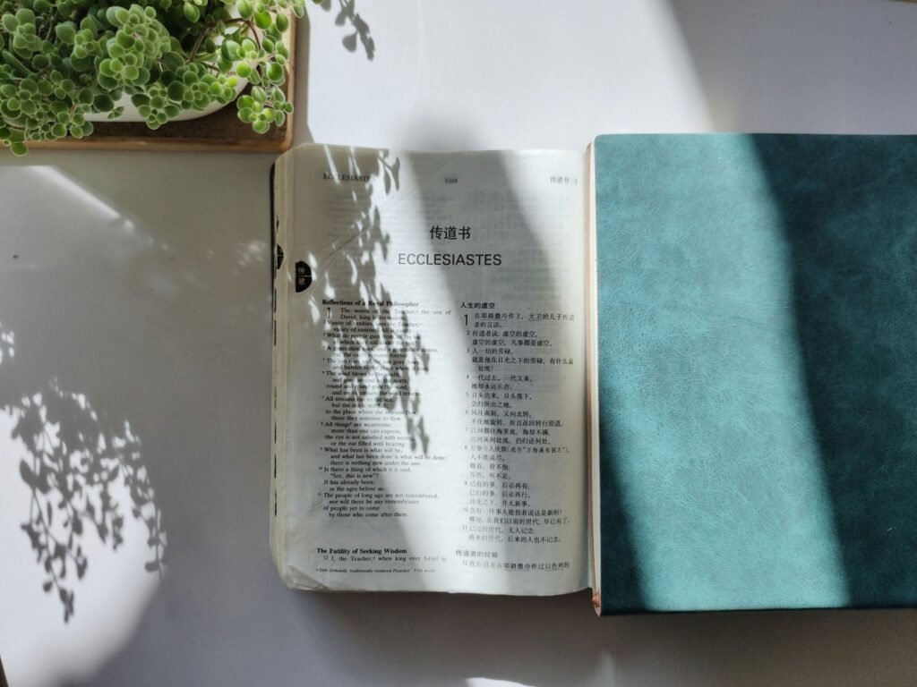 An open Bible in sunlight, symbolizing the hope and guidance found in Scripture