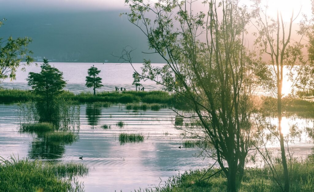 Nature offers a serene backdrop for quiet prayer and reflection