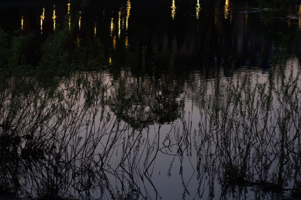 Nature reflections can inspire peace and gratitude in our lives