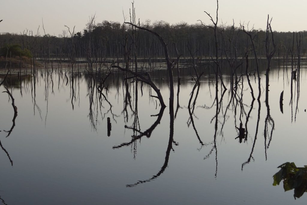 Quiet moments in nature can inspire deep reflection on faith and personal questions