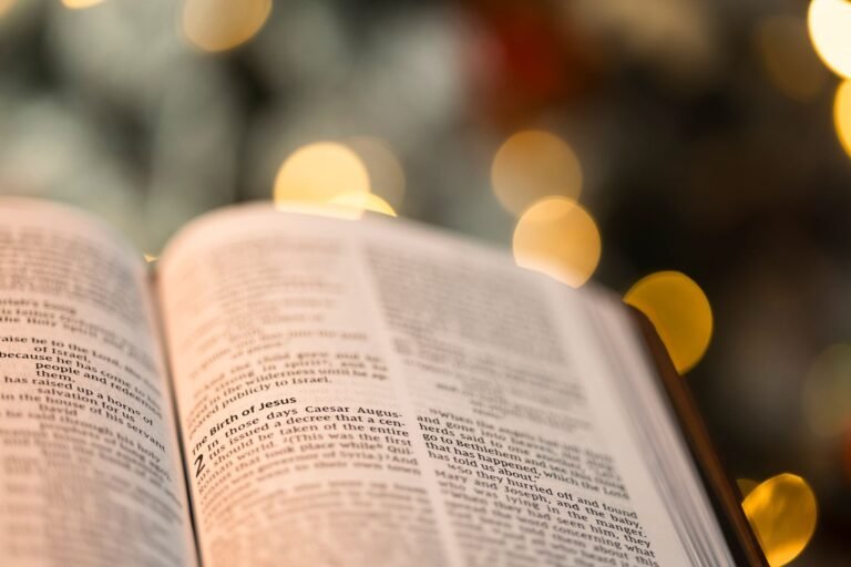 What Does the Bible Say About Wisdom?